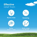 claritin-24-hour-allergy-chewables-for-k-6.jpg