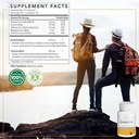 fortify-immune-support-supplement---best-2.jpg