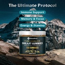 shilajit-for-men-and-women---shilajit-gu-3.jpg