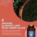 healthforce-superfood-elixir-of-the-lake-4.jpg