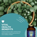 healthforce-superfood-elixir-of-the-lake-5.jpg