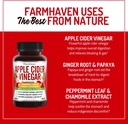 farmhaven-usda-organic-milk-thistle-caps-6.jpg