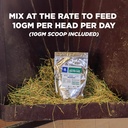 equine-total-gastro-ease-all-natural-ulc-5.jpg