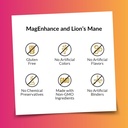 intelligent-labs-2-in-1-bundle-of-magenh-6.jpg