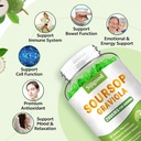 2-pack-soursop-graviola-gummies---organi-3.jpg