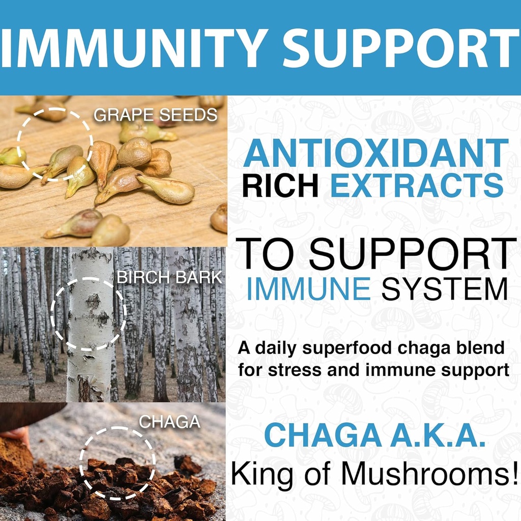lions-mane-supplement-with-cordyceps-cha-5.jpg
