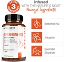 premium-berberine-hcl-730mg---120-vcaps--3.jpg