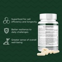 probase-nutrition-fisetin-senolytic-supp-4.jpg