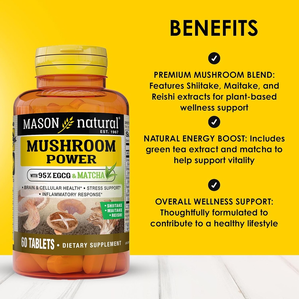 mason-natural-mushroom-power-with-95-egc-2.jpg