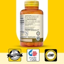 mason-natural-mushroom-power-with-95-egc-6.jpg