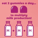 dr-stephanies-milk-multiplier-lactation--3.jpg