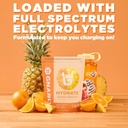 gnarly-nutrition-hydrate-electrolyte-pow-4.jpg