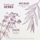 wishgarden-herbs-cranial-comfort---plant-4.jpg