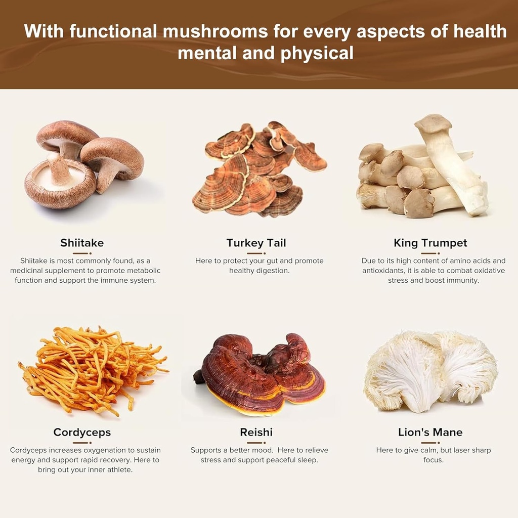 organic-lions-mane-cordyceps-shiitake-re-6.jpg