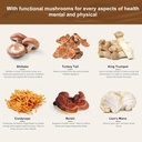 organic-lions-mane-cordyceps-shiitake-re-6.jpg