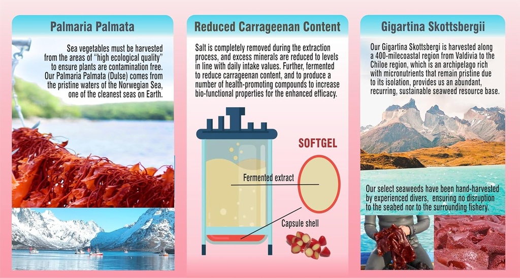 pharmakon-fermented-red-marine-algae-com-3.jpg