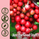 natures-answer-schisandra-berry-extract--5.jpg