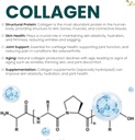 ultra-pure-collagen-1200mg-300mg-of-hyal-4.jpg