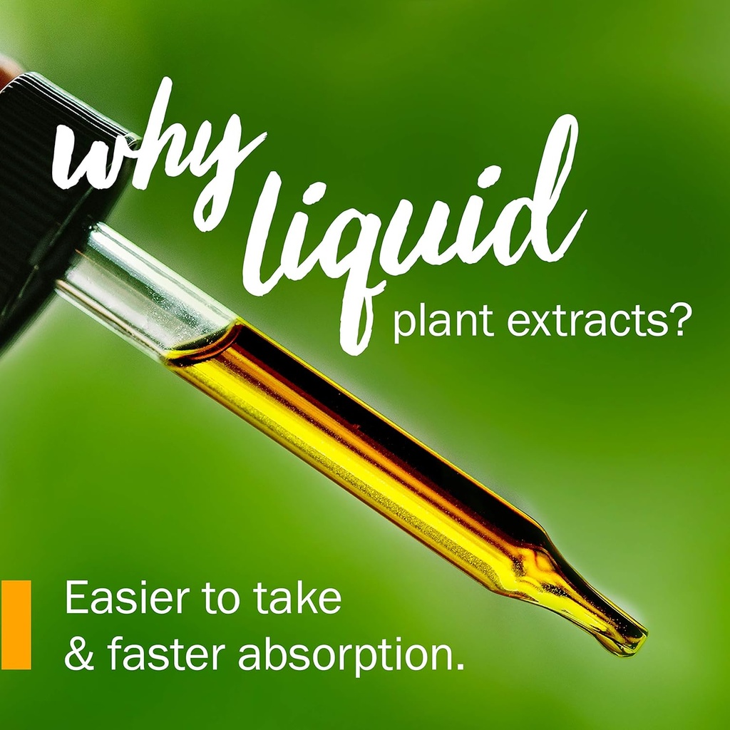 herb-pharm-lomatium-liquid-extract-for-i-4.jpg