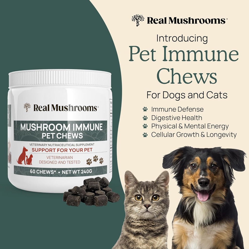 real-mushrooms-reishi-capsules-for-human-6.jpg