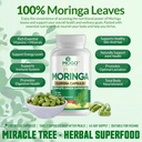 mogo-pure-magnesium-glycinate-and-moring-5.jpg