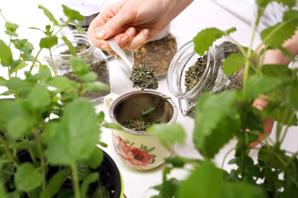 health-embassy-stinging-nettle-leaf-urti-6.jpg