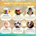 wellness-labsrx-irish-sea-moss-gel-raw---5.jpg