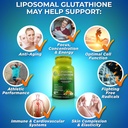 vegan-hormone-balance-immune-support-ant-6.jpg