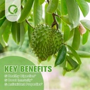 2-pack-soursop-graviola-gummies-soursop--3.jpg