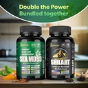 sea-moss-and-shilajit-bundle---90ee-coun-2.jpg