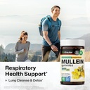 bio-krauter-mullein-60-gummies-sea-moss--2.jpg