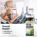 bio-krauter-mullein-60-gummies-sea-moss--6.jpg