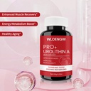 newly-urolithin-a-supplement-60-count-20-6.jpg