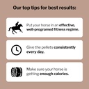 formula-707-musclemx-equine-supplement-2-5.jpg