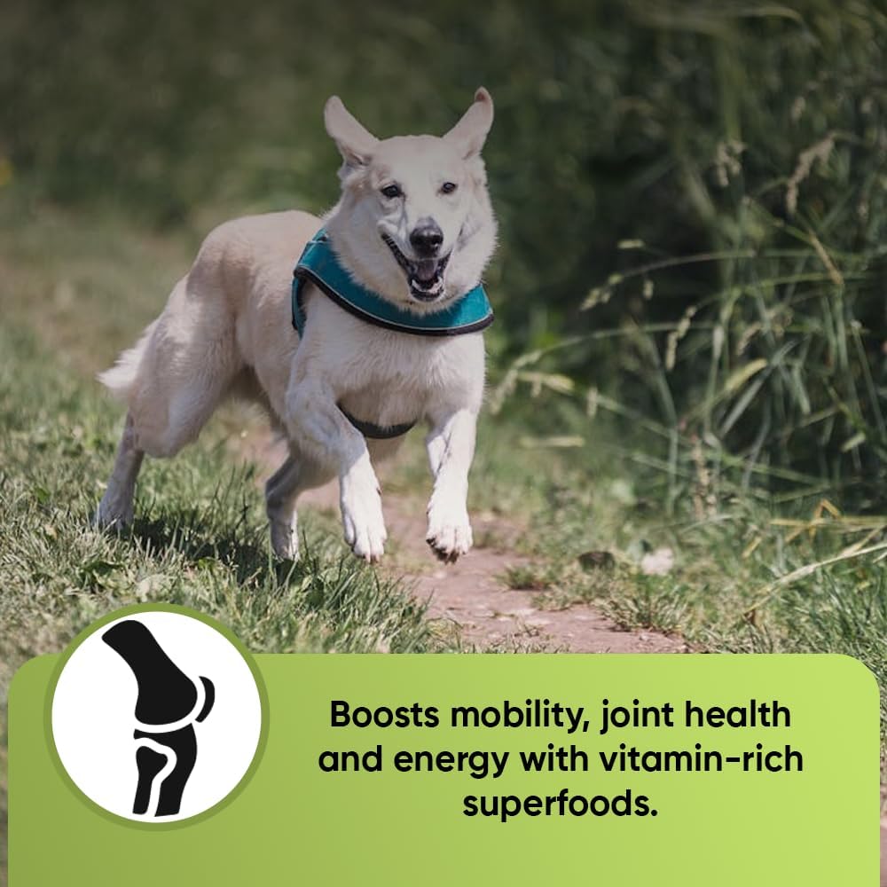 iheartdogs-super-greens-for-dogs-with-br-4.jpg