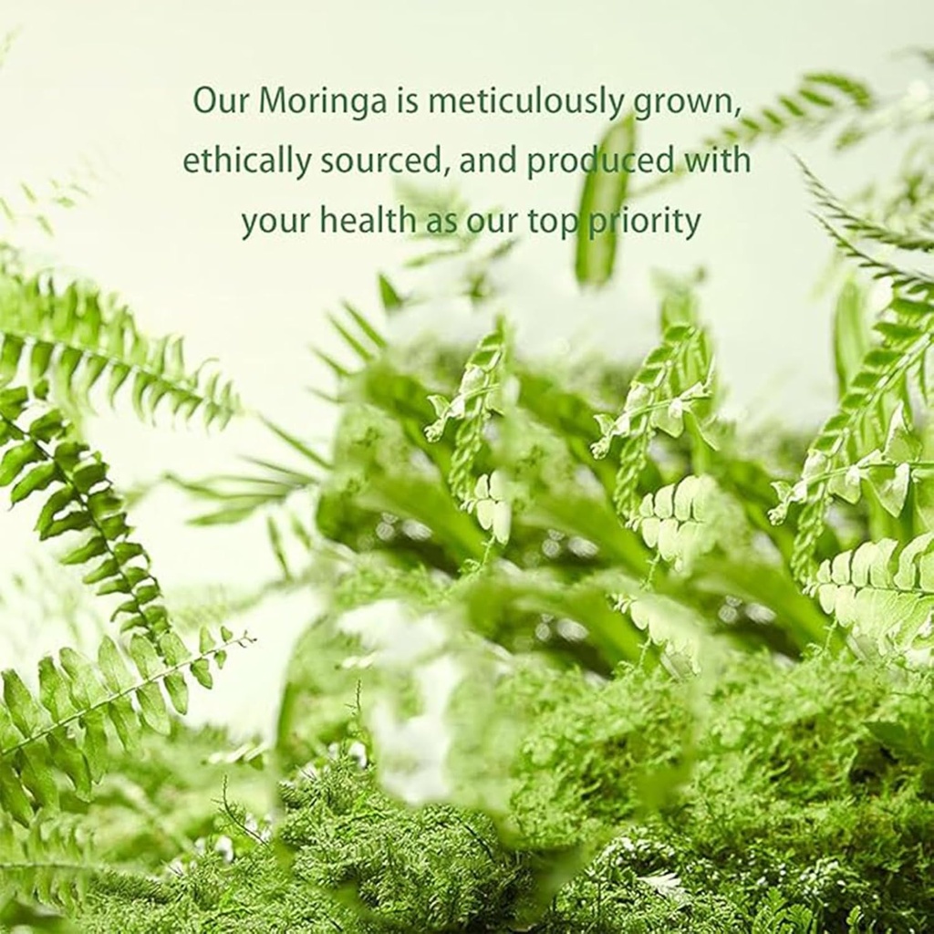 moringa-capsulespure-moringa-powder-caps-3.jpg