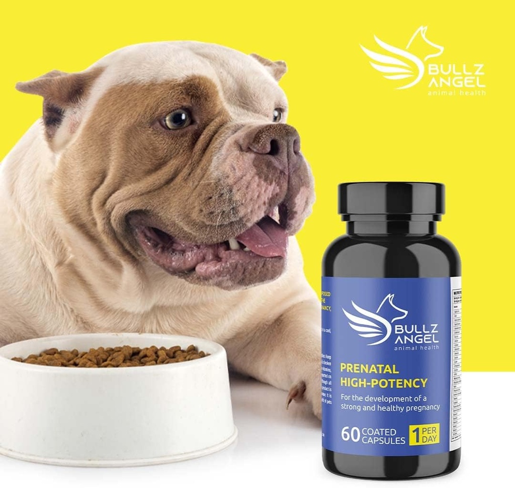 prenatal-high-potency-3.jpg