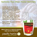 natural-brain-supplement-herb-extract-4.jpg