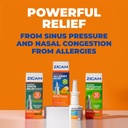 zicam-intense-sinus-relief-no-drip-liqui-2.jpg