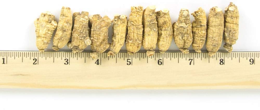 hsus-ginseng-sku-113-4-short-medium-smal-4.jpg