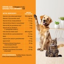 10-in-1-liquid-multivitamin-for-dogs-and-5.jpg