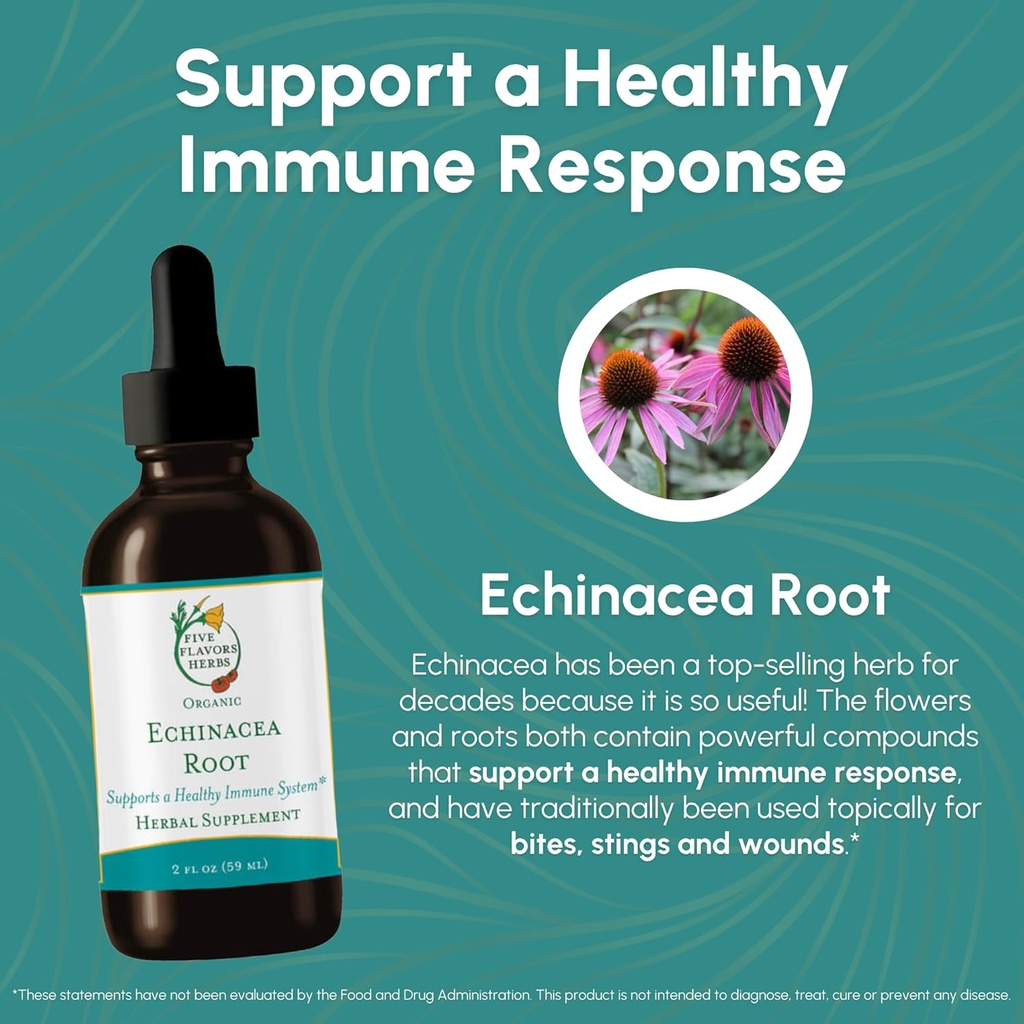 echinacea-root-tincture---immune-system--2.jpg