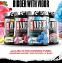 arms-race-nutrition-arn-vigor-advanced-c-5.jpg