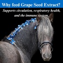 su-per-grape-seed-extract-horse-antioxid-5.jpg