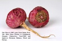 incas-gold-organic-red-maca-gelatinized--5.jpg