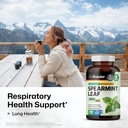 bio-krauter-sarsaparilla-250-capsules-sp-6.jpg
