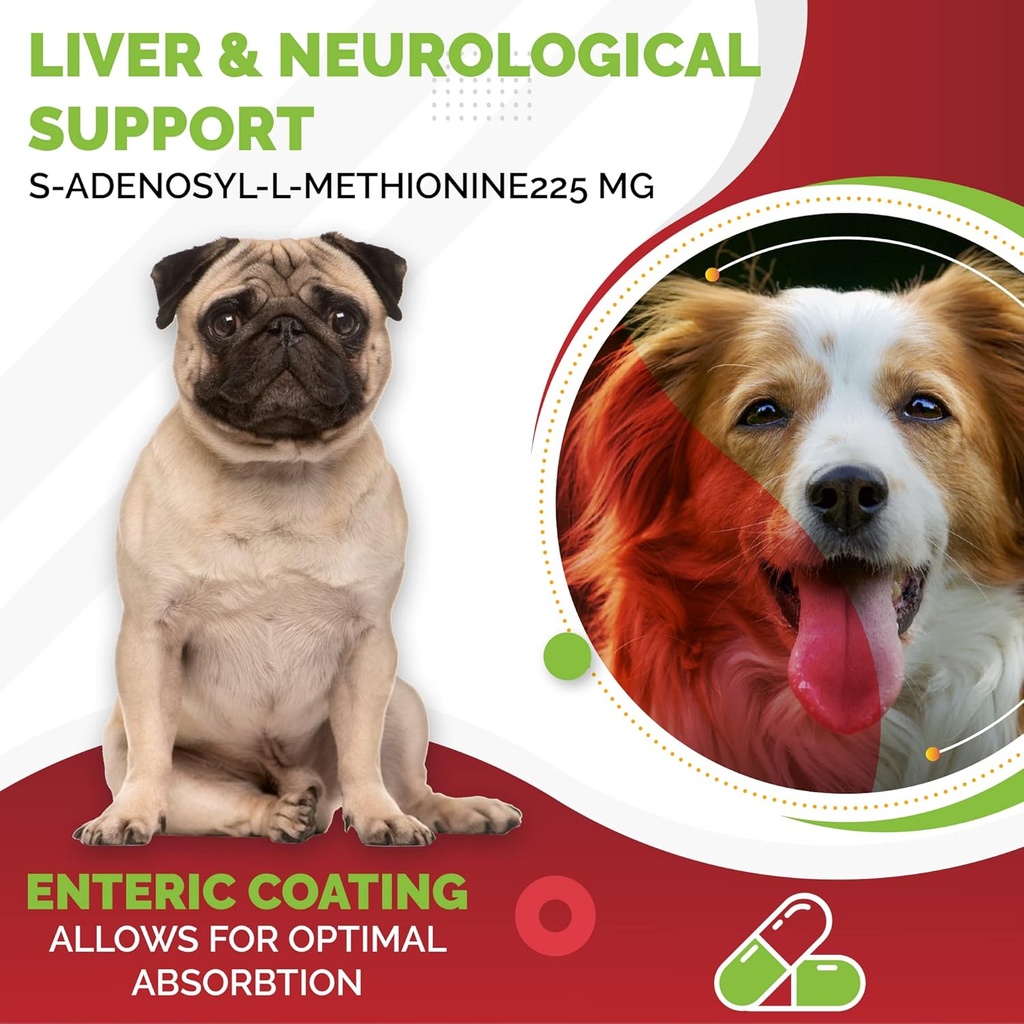 sam-e-225-mg-samelq-liver-support-s-aden-6.jpg