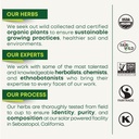 traditional-medicinals-tea-organic-dande-4.jpg