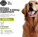 dog-urinary-tract-infection-treatment-bl-5.jpg