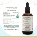herbera-hydrangea-b120-usda-organic-tinc-2.jpg